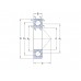 Подшипник  SKF 7205 BEP