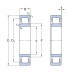 Подшипник  SKF NU 311 ECM